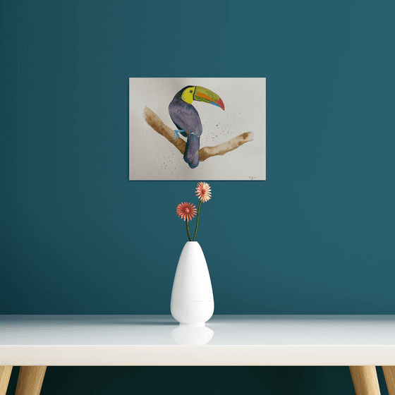 Toucan watercolour painting