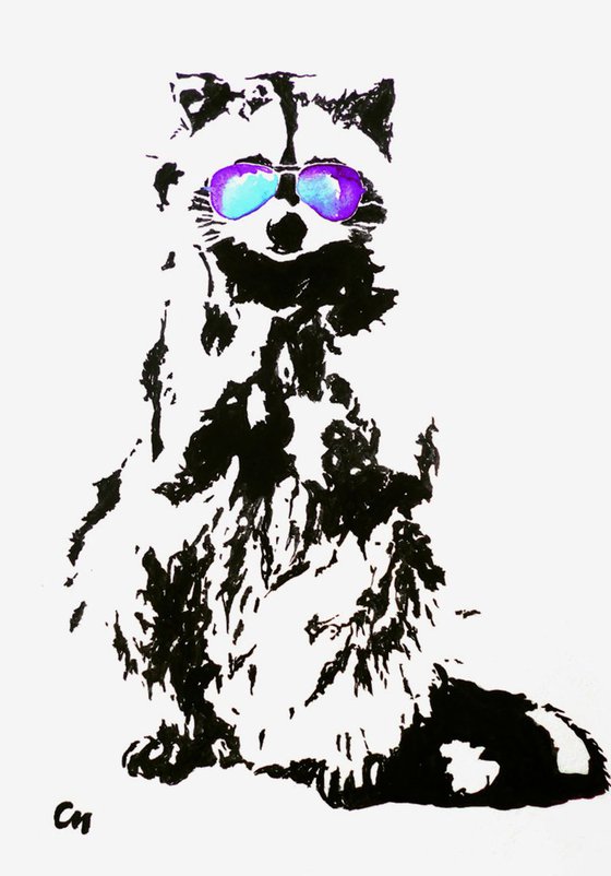 Raccoon
