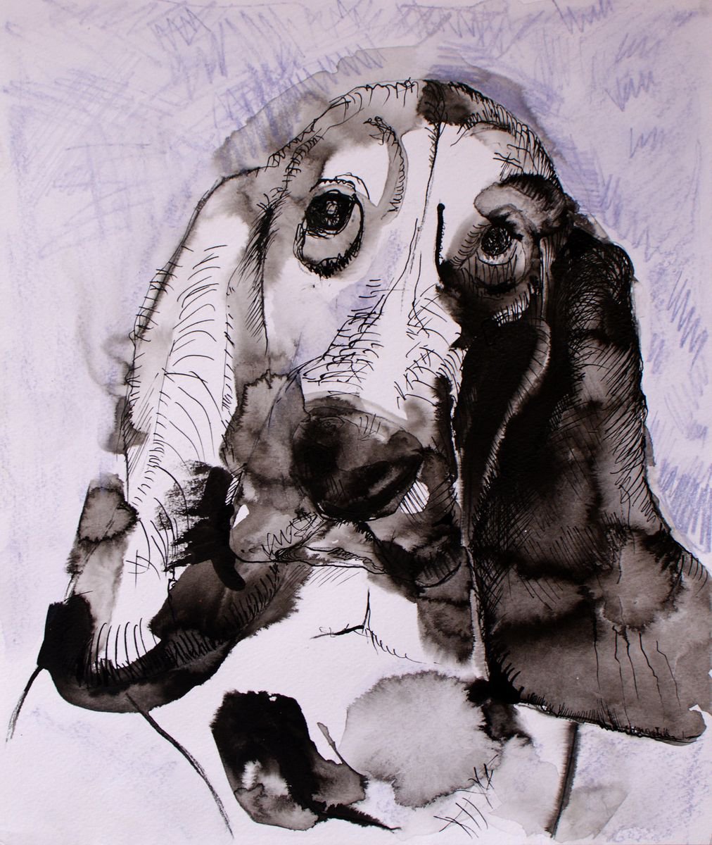 Impressionistic Animal Ink Drawing By Evgeniq Ivanova, 12 X 14, Basset Hound, Original Artwork