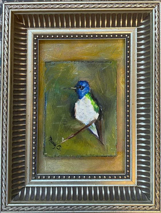 Gorgeous White-necked Jacobin Hummingbird oil painting on a gessoed masonite mounted on gessoed panelboard 5x7