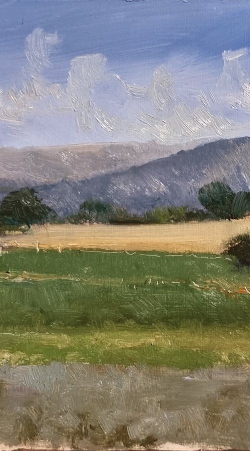 Champs des Comtes by Pascal Giroud