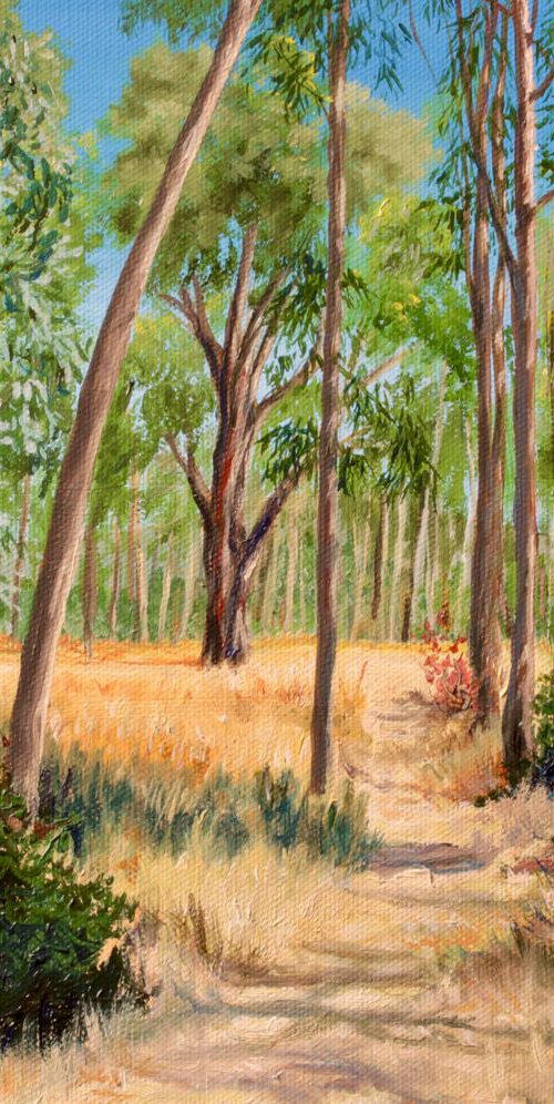 Point Pinole Eucalyptus Glade by Kristi Herbert