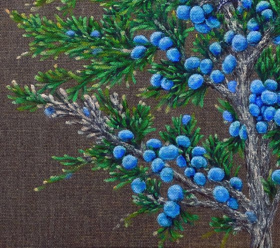 Juniper Watcher