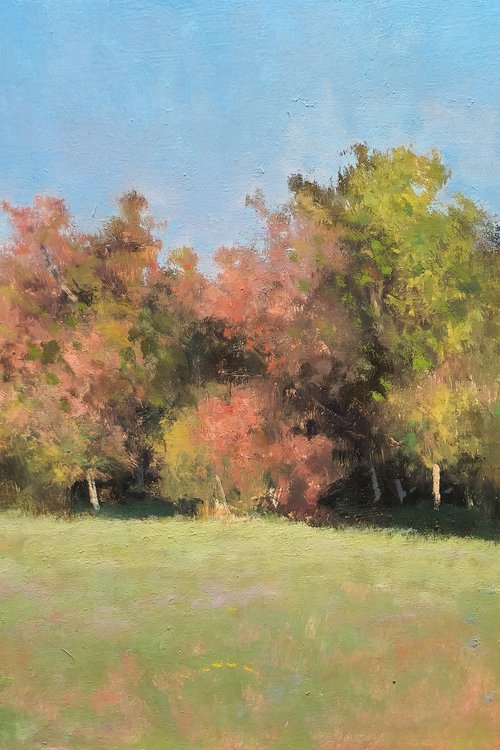 The Three Oaks by Pascal Giroud