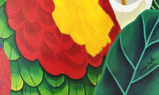 Parrot Paradise