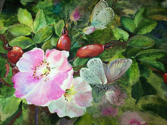 "WILD ROSES "