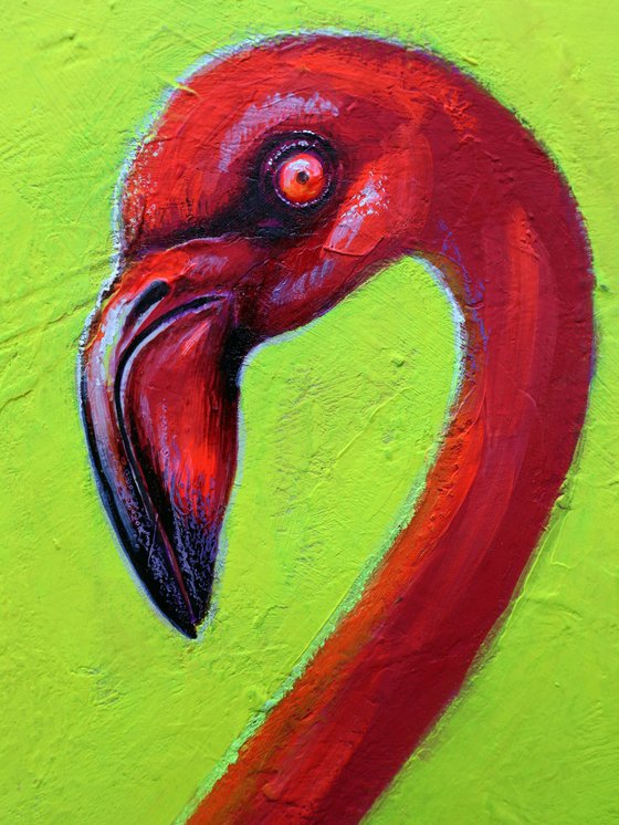 Flamingo 2