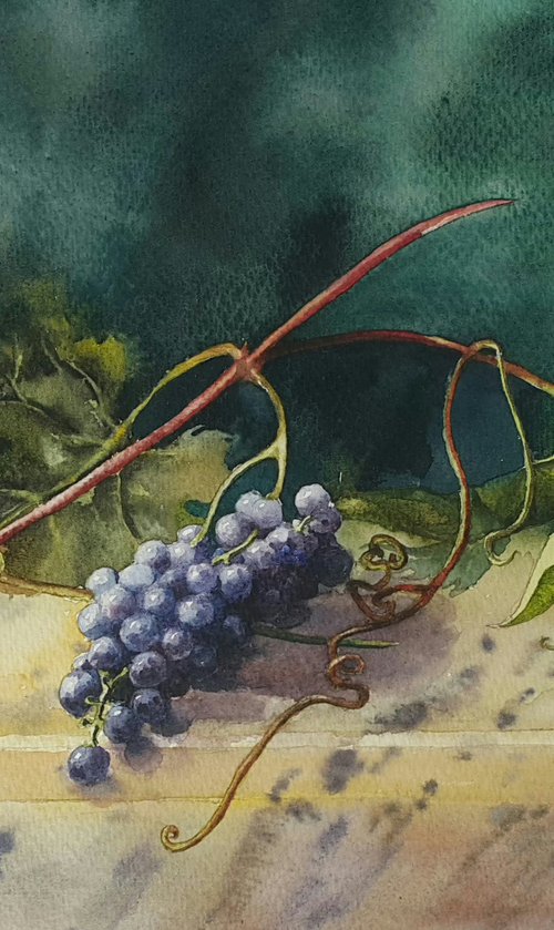 BRANCH OF GRAPES by Natasha Sokolnikova