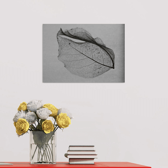 Skeleton Leaf I
