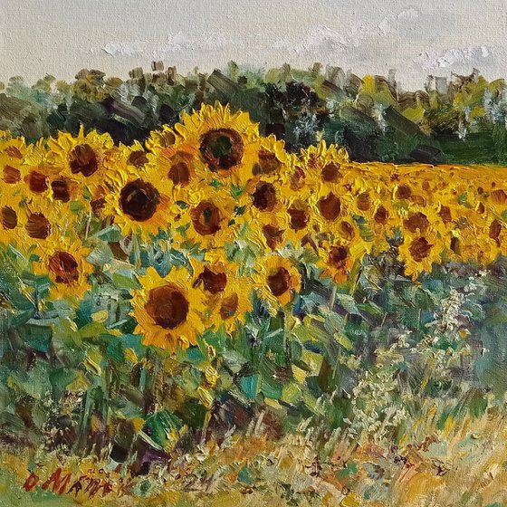 Sunflower field near forest