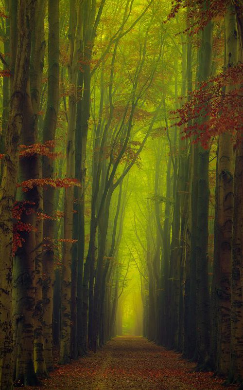 Portal into the kingdom of silence by Janek Sedlar