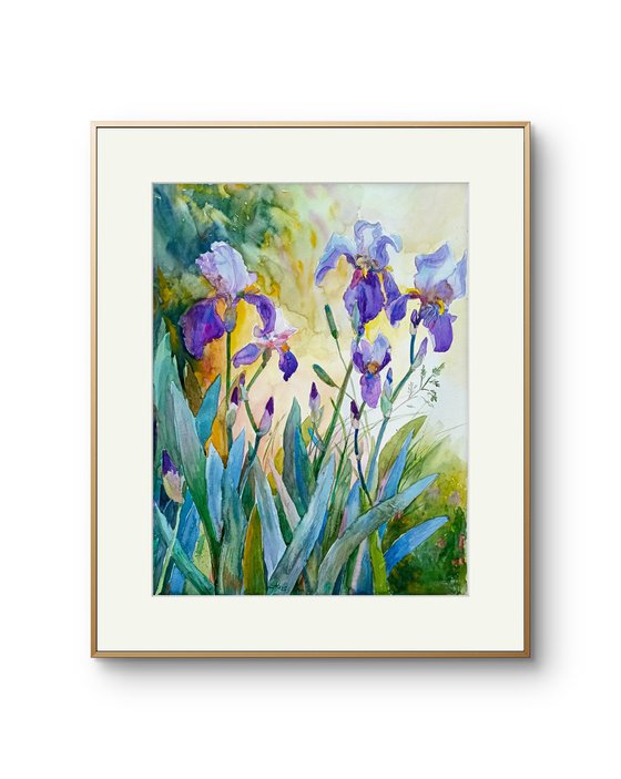 Charming irises