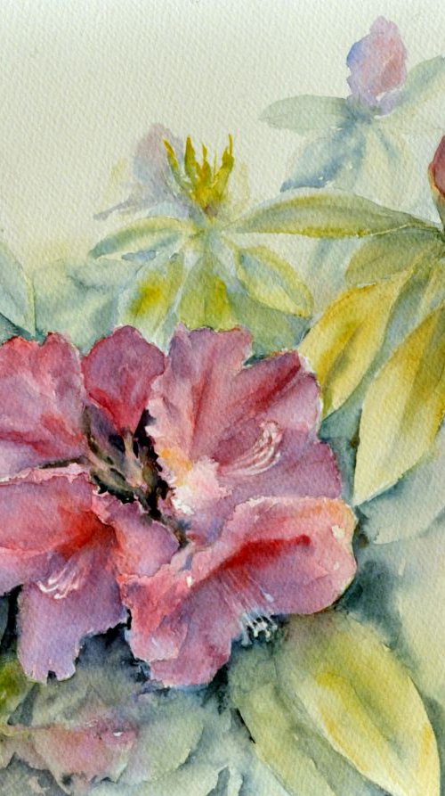 RHODODENDRON II. DREAM GARDEN original watercolor 41x31 by Beata van Wijngaarden