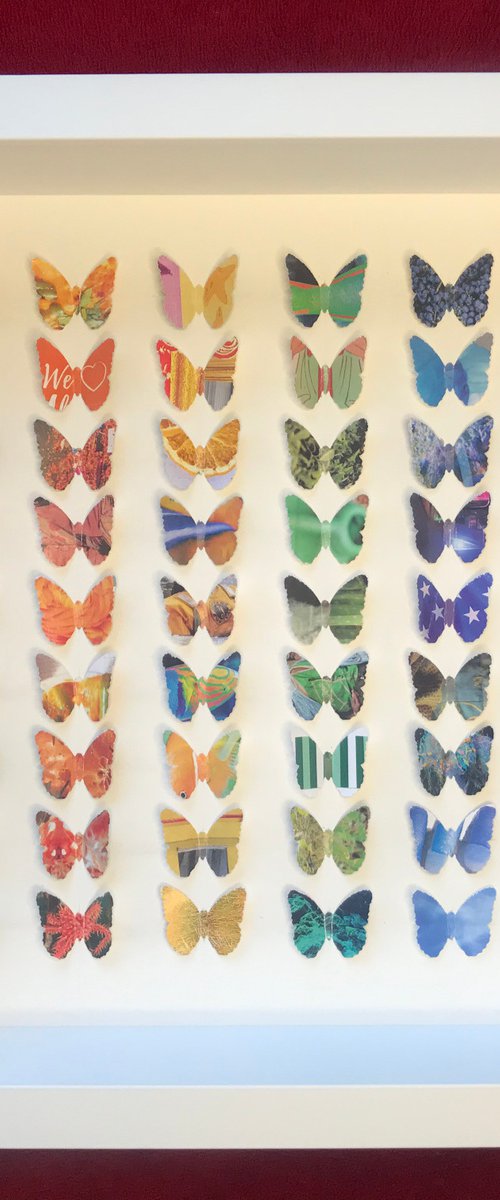 Rainbow Wings by Hernan Reinoso