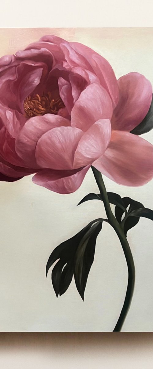 Flower P by Rosi Roys