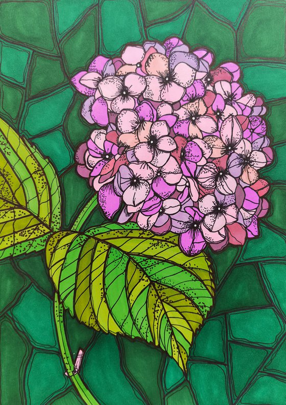 Hydrangea - lilac light pink green graphic art flower, floral illustration