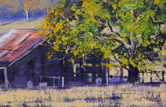 Valley Farm Shed Australian Landscape