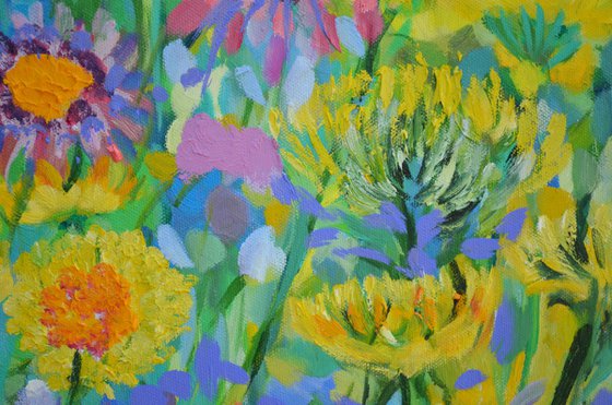 Wildflower Meadow 2026