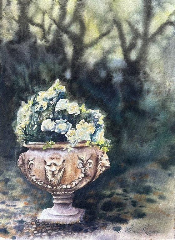Roses in the shade