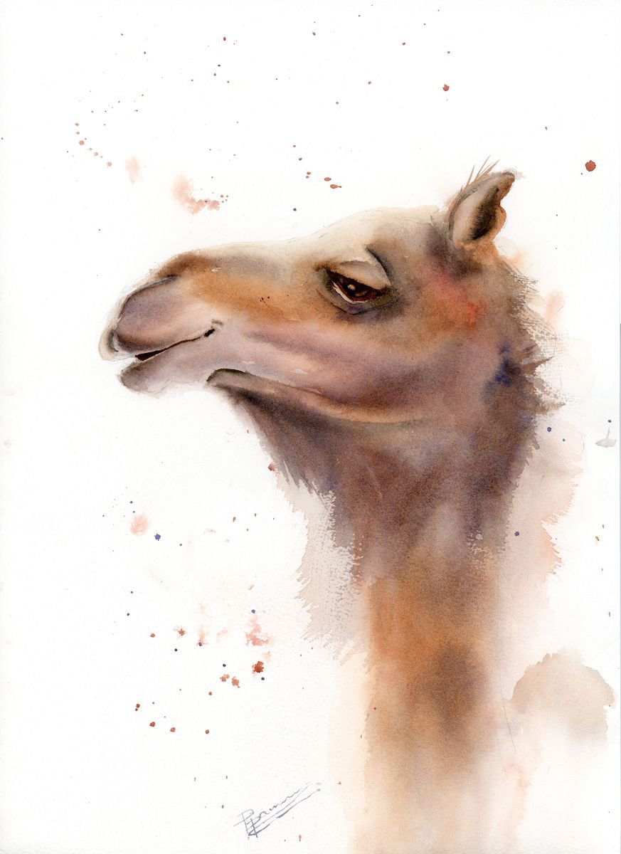 camel portrait by Olga Shefranov (Tchefranova)