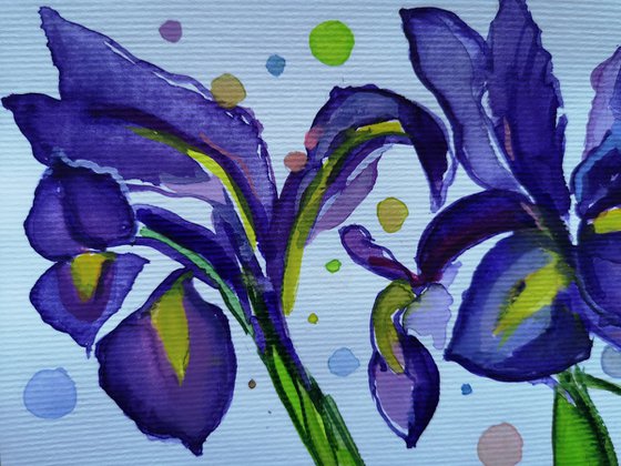 Irises