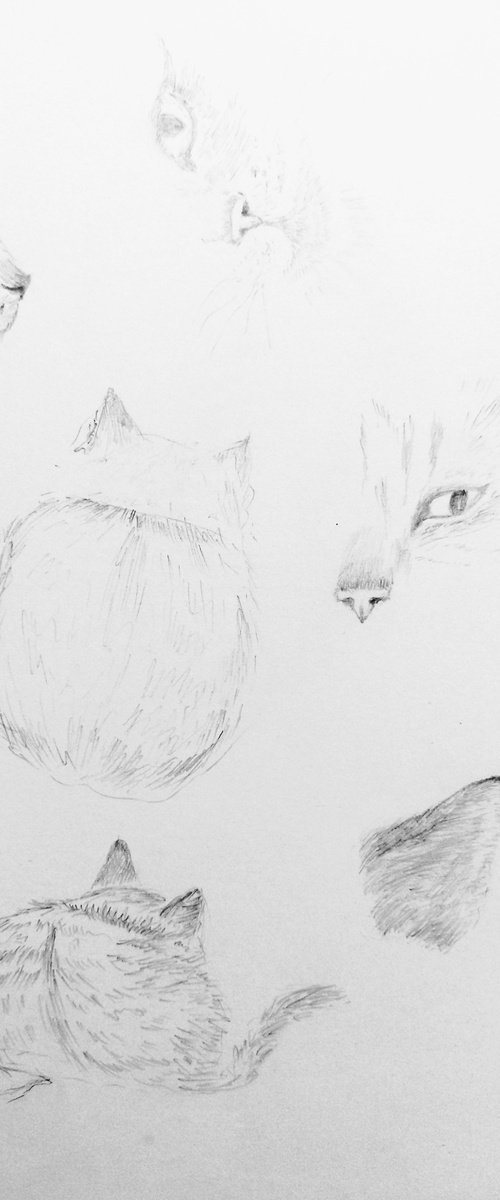 Cats. Original pencil drawing. by Yury Klyan
