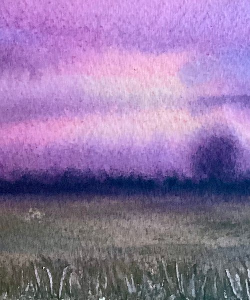 Sunrise over pasture by Samantha Adams