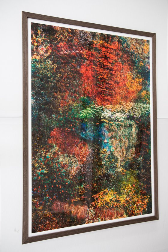 Wall of Nature LXVII (Framed)