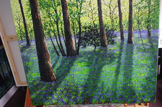 Springtime Shadows