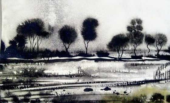 Black and white  landscape series