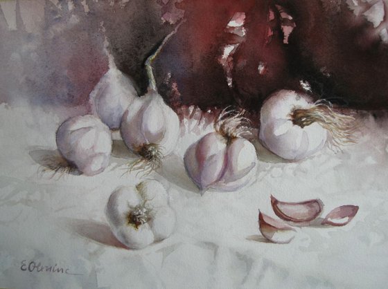 Garlic - still life watercolour