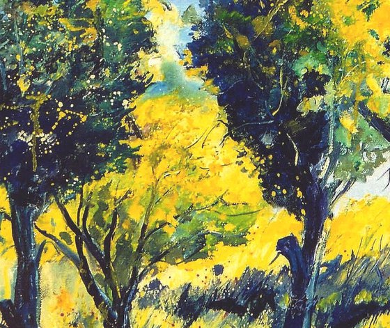 Orchard