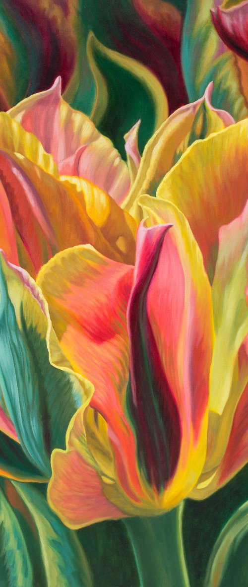 Tulipomania 15 by Fiona Craig