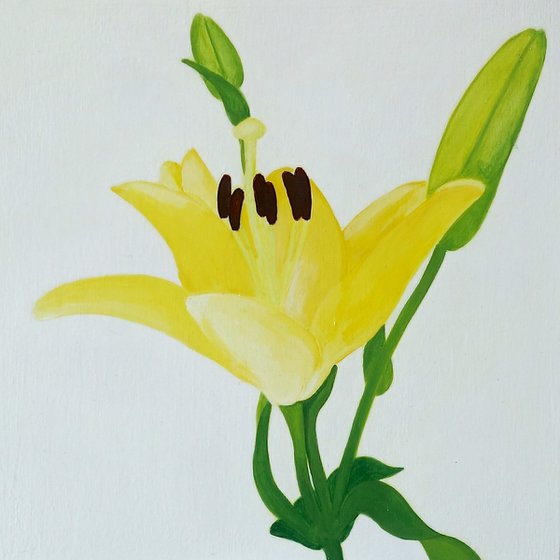 Yellow Lily