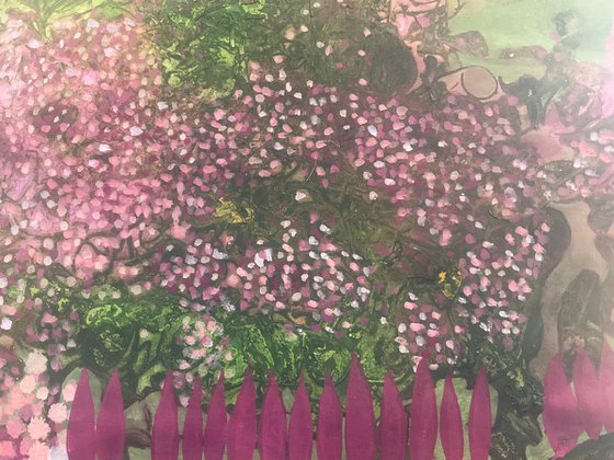 Where the wild roses grow