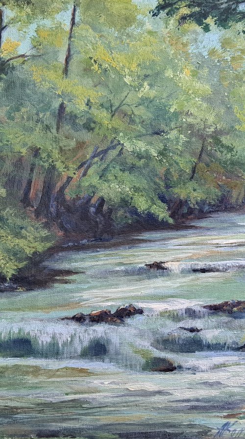 Mountain river by Alexander Koltakov