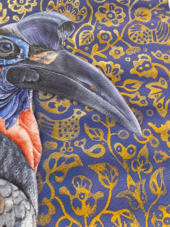 Majestic Abyssinian Hornbill