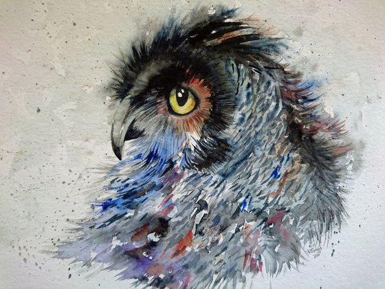 OWL 11.5 x 9.5 inches