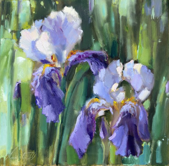 Rhythm of Irises