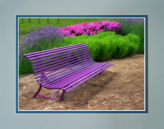 Purple Bench