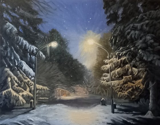 The Snowy Night