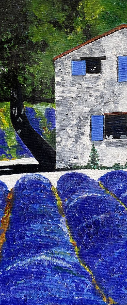 THE OLD LAVANDER HOUSE by MAGGIE  JUKES