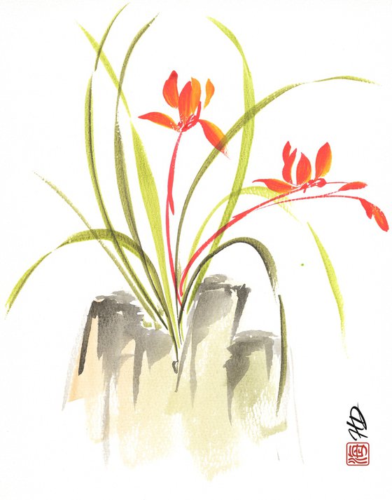 Scarlet Orchid Dance