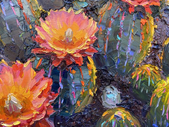 "Morning in Canyon "