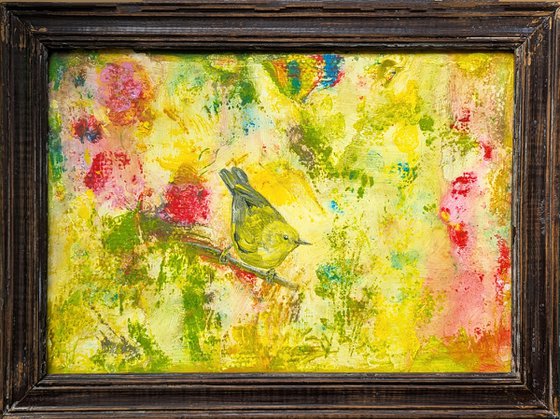 Yellow warbler bird