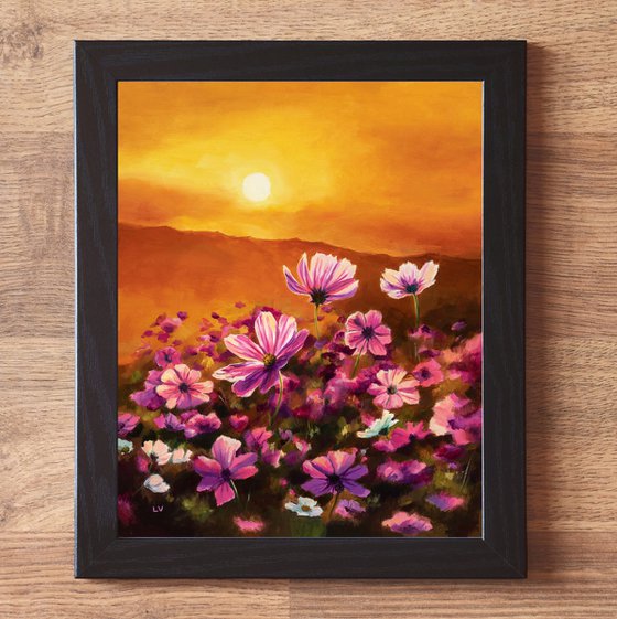 Pink cosmos field at sunset