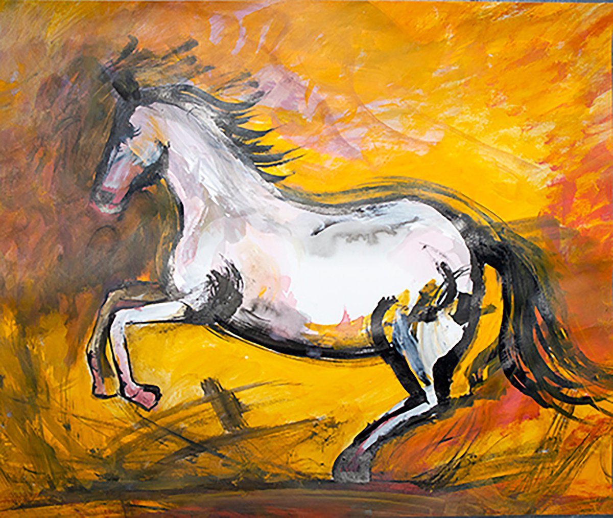 Prancing white horse by Ren Goorman