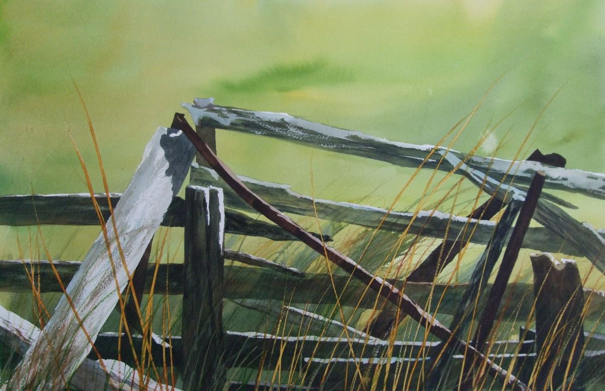 Old fence by Silvie Wright