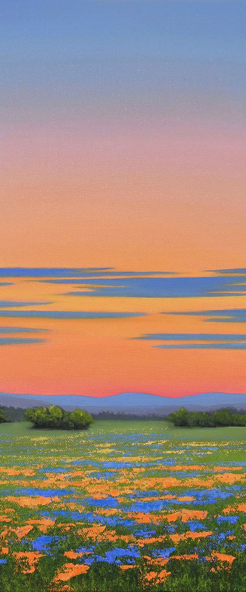 Wildflower Field by Suzanne Vaughan