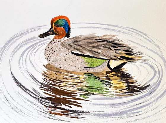 Drake Green Winger Teal